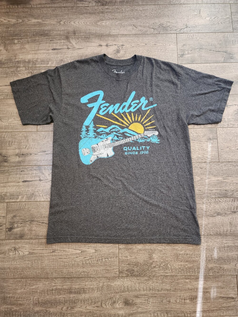 Fender Mens T-Shirt Size 2XLT Distressed Guitar Retro Landscape Grey Since 1946